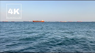 SERENE SEA | Soothing Ocean Waves & Meditative Ambient Music - Relaxation for Mind & Soul