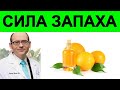 Апельсиновая Ароматерапия от Беспокойства | Доктор Майкл Грегер