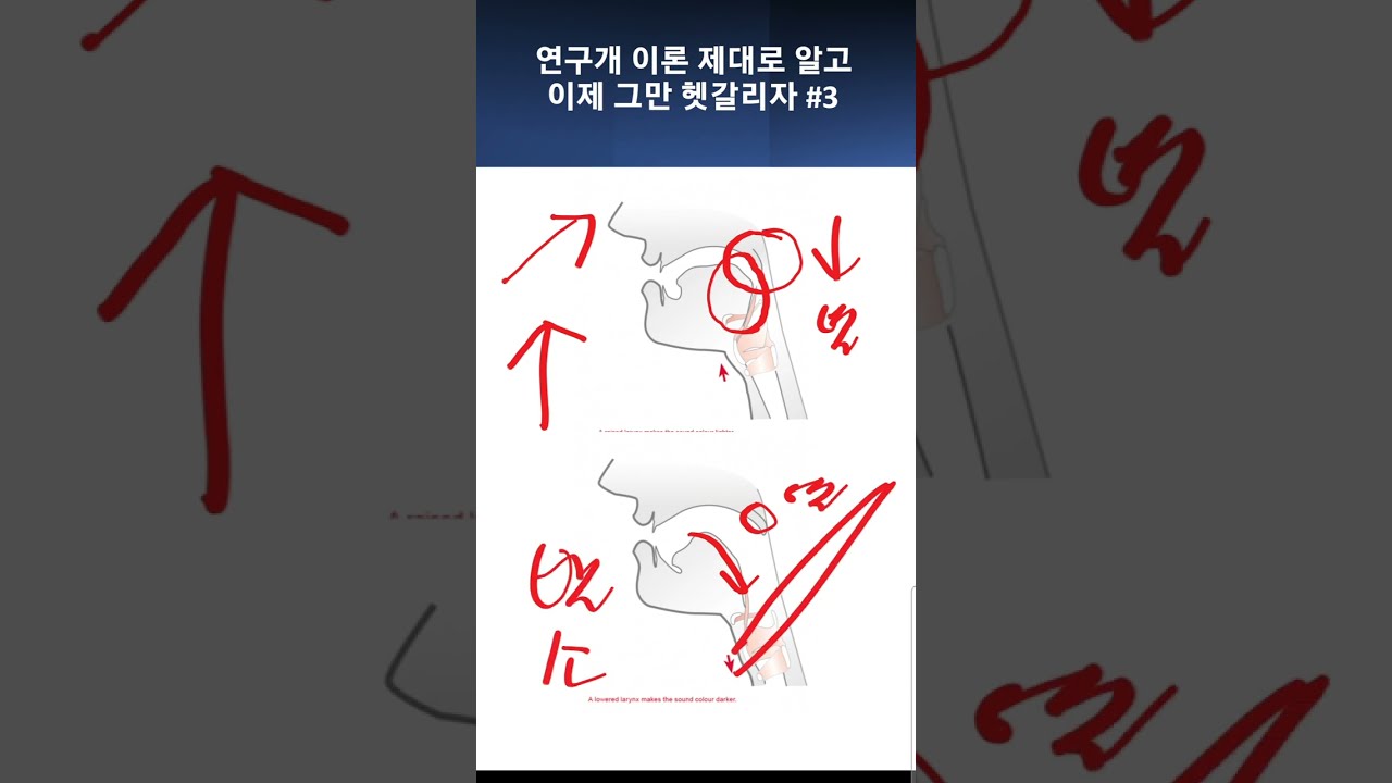 연구개 이론 제대로 알아 봅시다