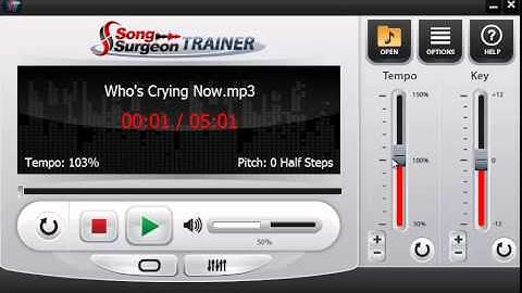 Song Surgeon Trainer - Main User Interface