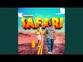 Safari Safari