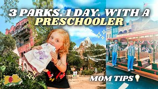 DISNEY WORLD VLOG✨ Park Hopping Hollywood Studios, Animal Kingdom, Magic Kingdom