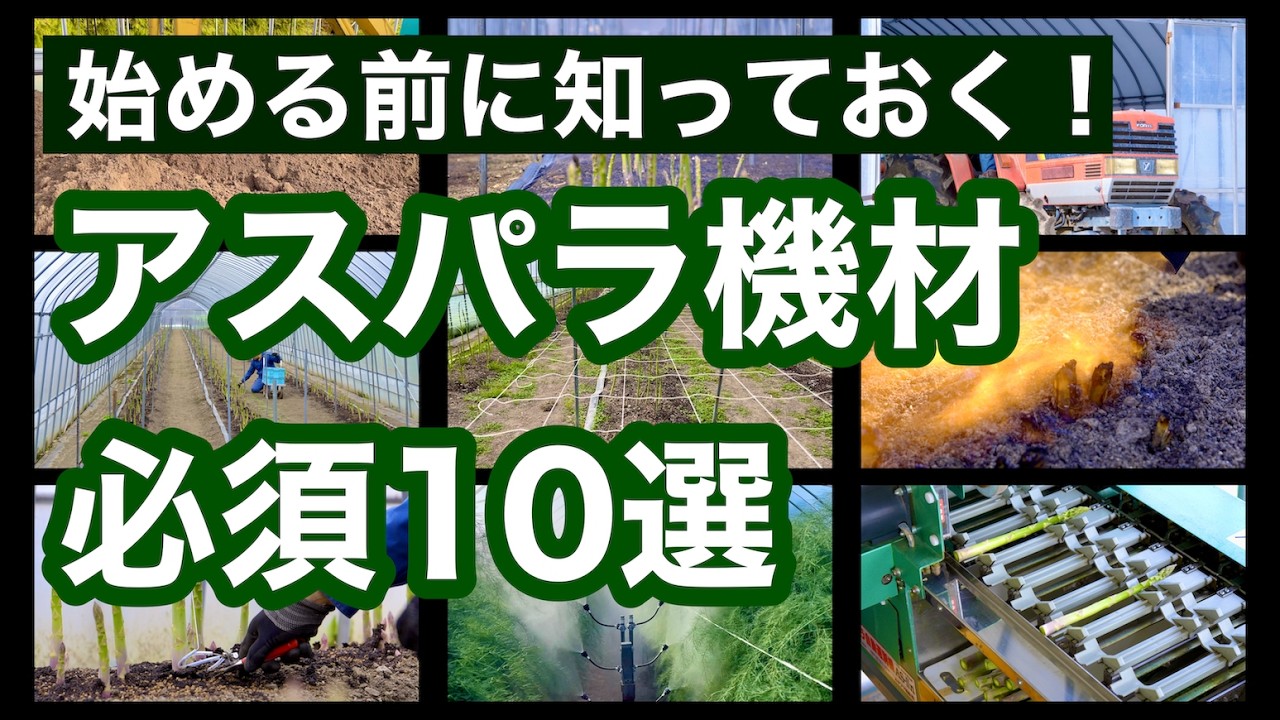 【アスパラガス栽培】失敗談から学ぶ！初期投資で絶対買うべき機材7選と”借りて済ませたい”アイテム3選