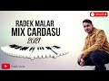 Radek malr  mix ard 2021