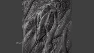 Tony Angell - Wild                     http://www.fosterwhite.com/dynamic/artist.asp?ArtistID=58