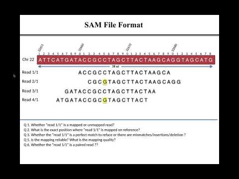 Lecture 1 SAM File Format