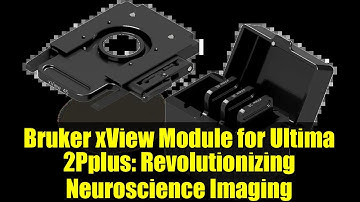 Bruker xView Module for Ultima 2Pplus: Revolutionizing Neuroscience Imaging