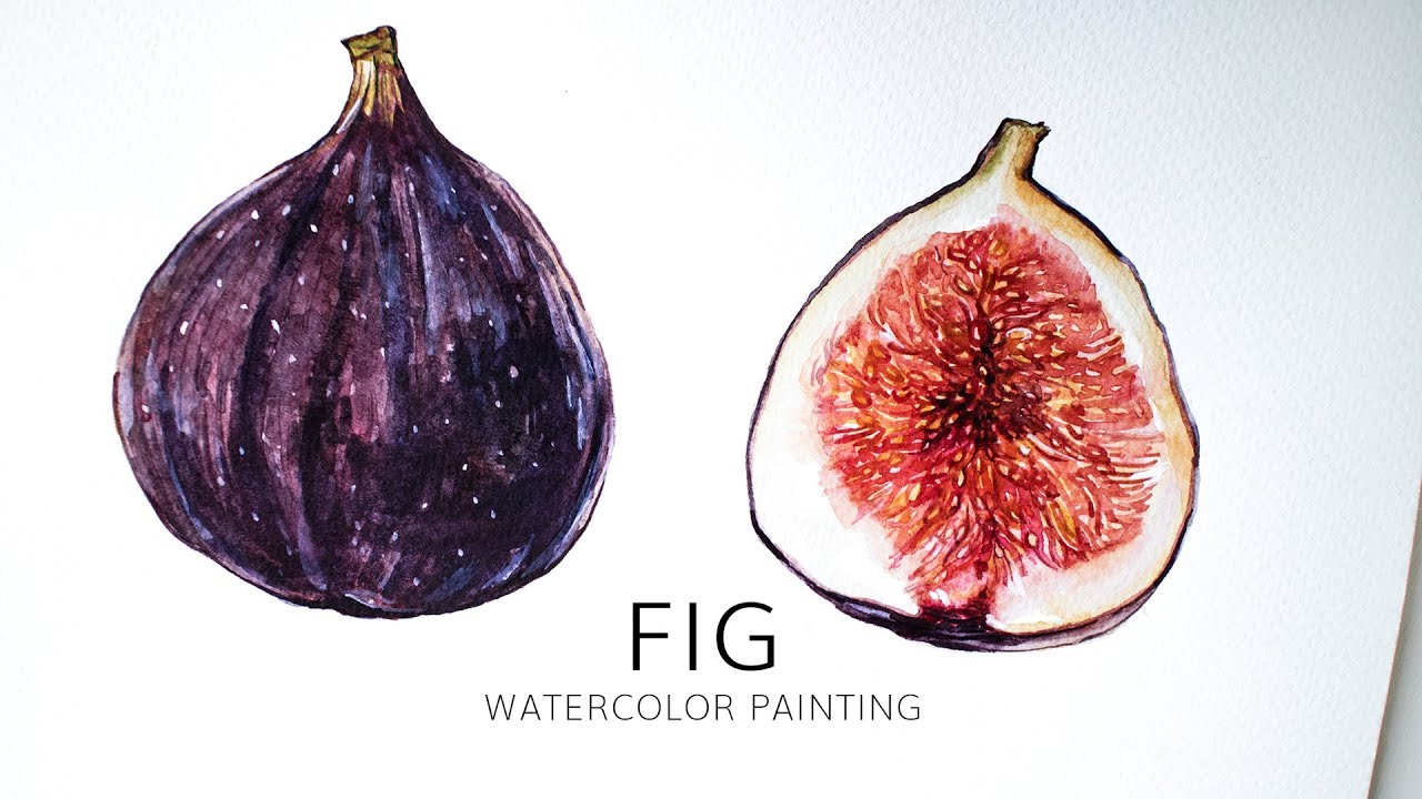 Fig watercolor painting · Fruit Illustration Time Lapse YouTube