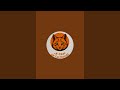 uk cat haruki is live