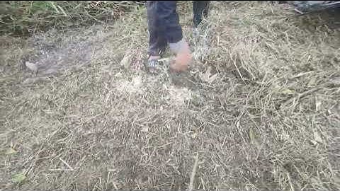 Máy cắt cỏ trục băm đường cắt 1,2 m động cơ dầu 18hp