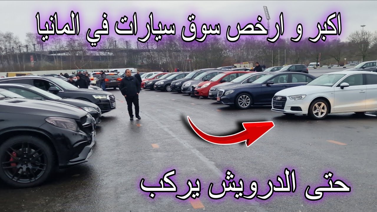 مشيت عند اكبر و ارخص سوق للسيارات في ألمانيا، كلشي يركب الحديد في هاد السوق