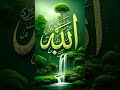 md Aslam