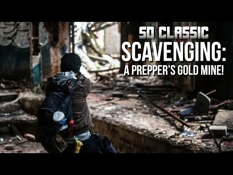 The Art of Scavenging - SD Classic