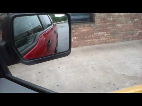 DINOSAUR CAUGHT ON TAPE DINOSAUR CAUGHT ON TAPE