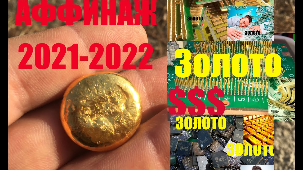 Сухое золото 2021