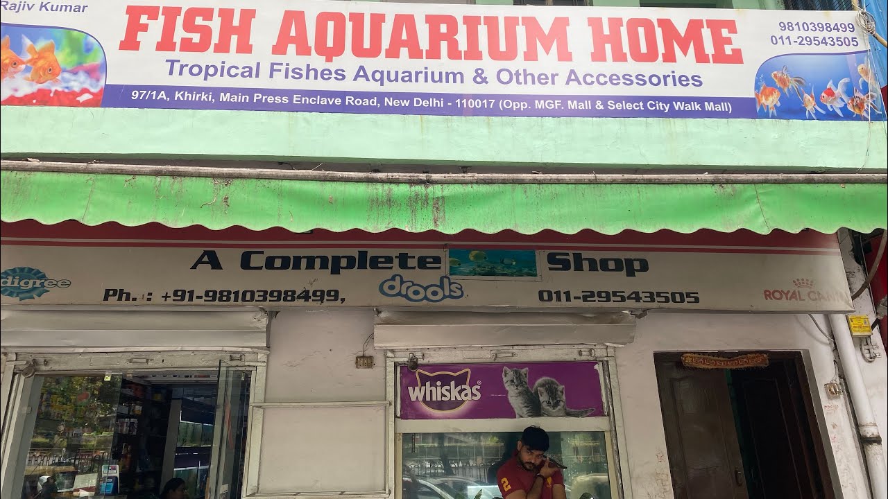 Aquarium Fish Shop Best Fish Shop in Delhi for Fresh Water Fishes