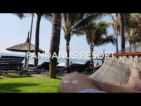 Video: Milloin pandanus kukkii?