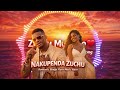 Nakupenda Zuchu Romantic Bongo Flava Love Song Audio Visualizer Nakupenda Zuchu Romantic Bongo Flava Love Song Audio Visualizer
