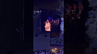 Bradley Gibson Disney’s The Lion King 30th Anniversary Life to Film Hollywood Bowl Information