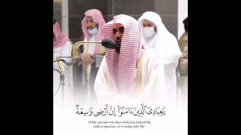 تلاوة قصيرة~ تسلب الألباب للشيخ عبدالله الجهني
