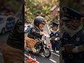 Oyen the Biker Cat Gets Stopped by Police! 😺🏍️ #cat #funnycat #funnyanimals