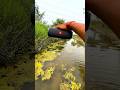 JBbl bass test essential ✨️ filip2  test jump water me drop Testing