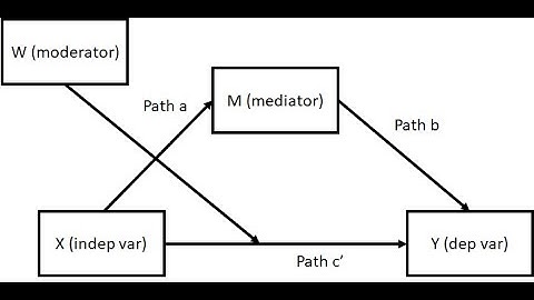 Testing mediation and moderation using Hayes Process Macro (Model 5) with SPSS