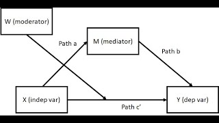 Outcome of the PROCESS Macro (Model 8) Used to Test Whether the