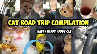 Cat Road Trip Compilation - Happy Happy Happy Cat