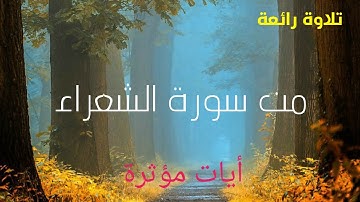 ما اجملها تلاوة ♥ من سورة الشعراء احمد عبد الرازق النصر | القرآن الكريم