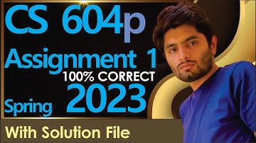 CS604p assignment 1 2023 Solution