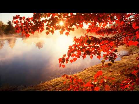 შემოდგომის ფოთლები