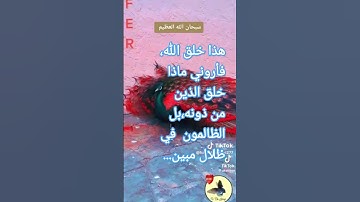 #ثلاوة خاشعة لسورة لقمان الآية 11 من المصحف الشريف...