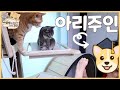 아리집사분이 아리 만나러 왔습니다.