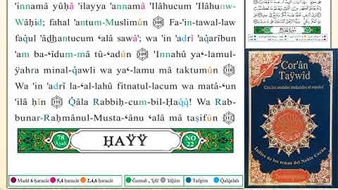 ختمة من مصحف التجويد باللغة الإسبانية الصفحة رقم 331