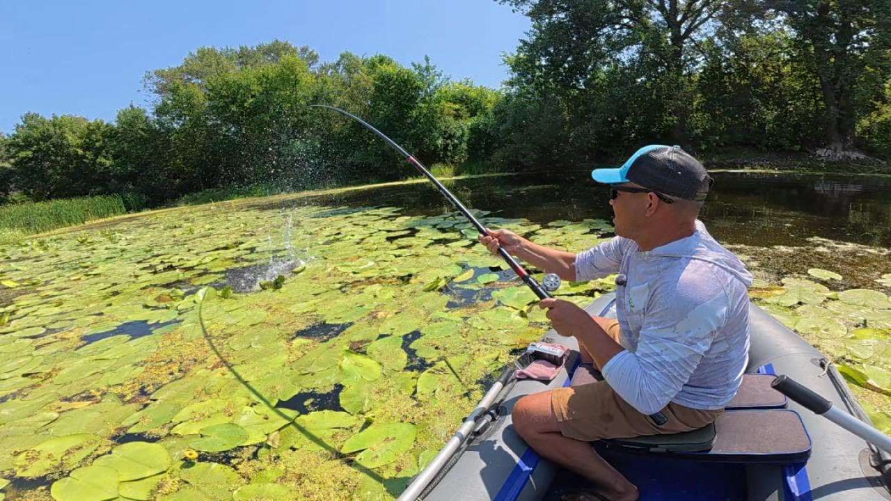 ПОПАВ НА ЖОР КРУПНЯКА У ЗАРОСЛЯХ ЛАТАТТЯ. (Розігрую подарунки)