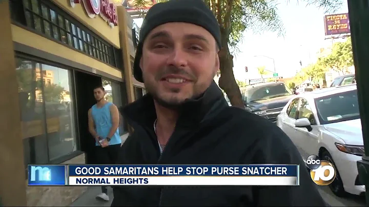 Good Samaritans help nab purse snatcher