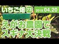 いちご畑【73】えがお農園で スギナ大決戦