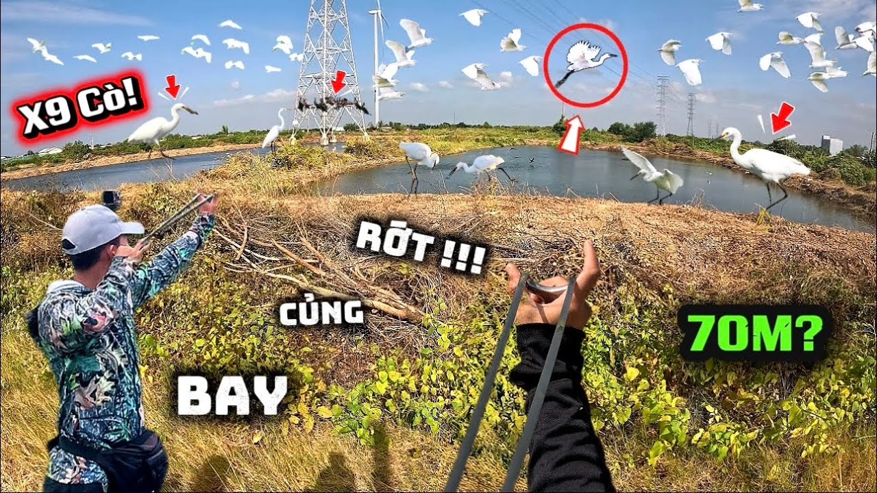 SIÊU PHẨM!! Chạm Mặt Bầy Cò Trắng Quá Khủng Và Hạ 9 Chú Cò Cực Đẹp, Để Dành Ăn Tết || Trung Ku Nhí