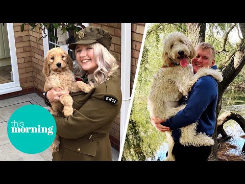'I Bought a Little Cockapoo... And Now She's The Size of a Baby Rhino' | This Morning