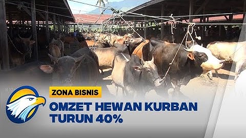 Pantauan Harga Hewan Kurban