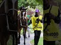 HOLD MY HAND wins the Summer Fling Stakes Gr3 for Woodhill and Drakenstein Stud