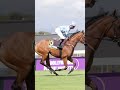 HOLD MY HAND wins the Summer Fling Stakes Gr3 for Woodhill and Drakenstein Stud