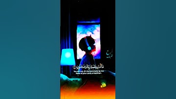 قرآن كريم رمضان نور والقلم وما يسطرون #قران_كريم #اكسبلور #دويتو #duet #المصحف #الرحمن