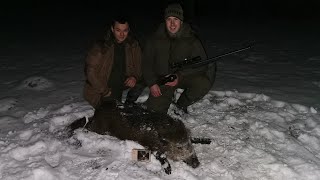 Lov na divlje svinje, fazane u Svilojevu/wildboar, predator,fox hunting in Svilojevo | E157