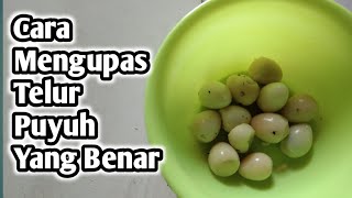 Tutorial Tips Cara Mengupas Telur Puyuh Dengan Cepat Dan Rapi