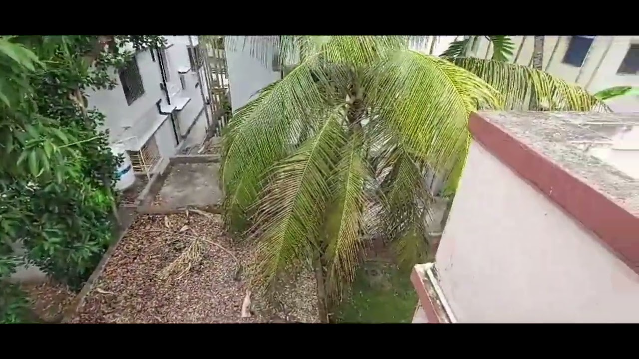 Independent house sale at Kalyani block, 56 bedrooms house with 4.8