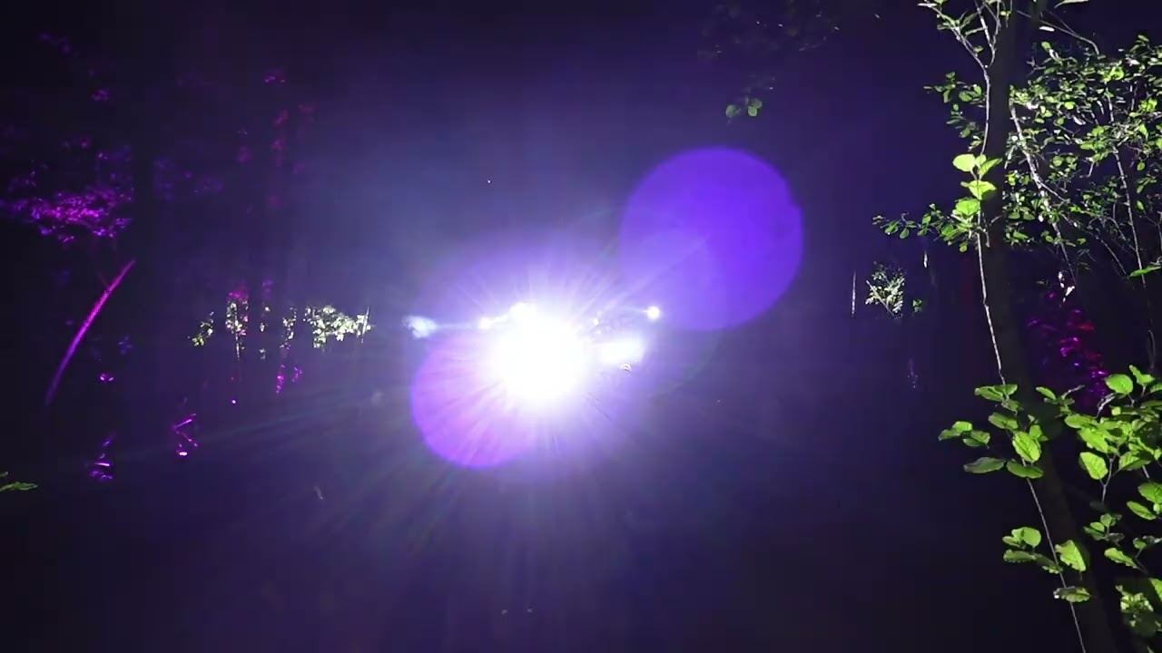 Matthias Steiner @ Everland Festival 2023 | Forest Stage