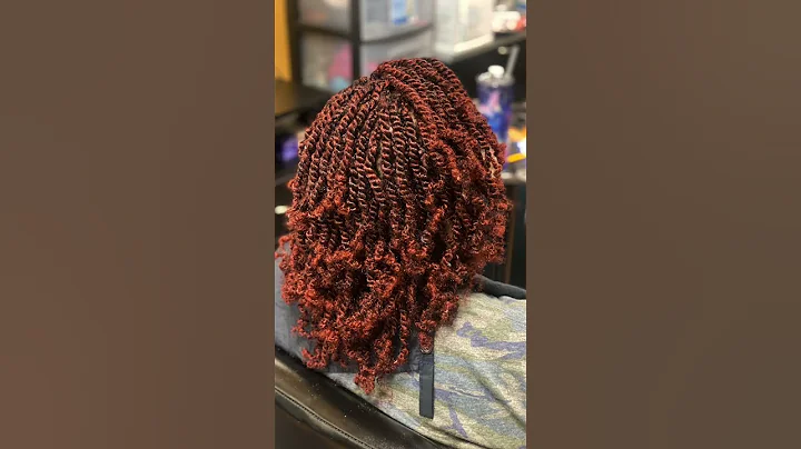 Styles by me #feedinbraids #feedins #springtwists #lemonadebraids #protectivestyles #braidstyles