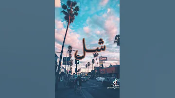 شل عقلي شل شل روحي شل 